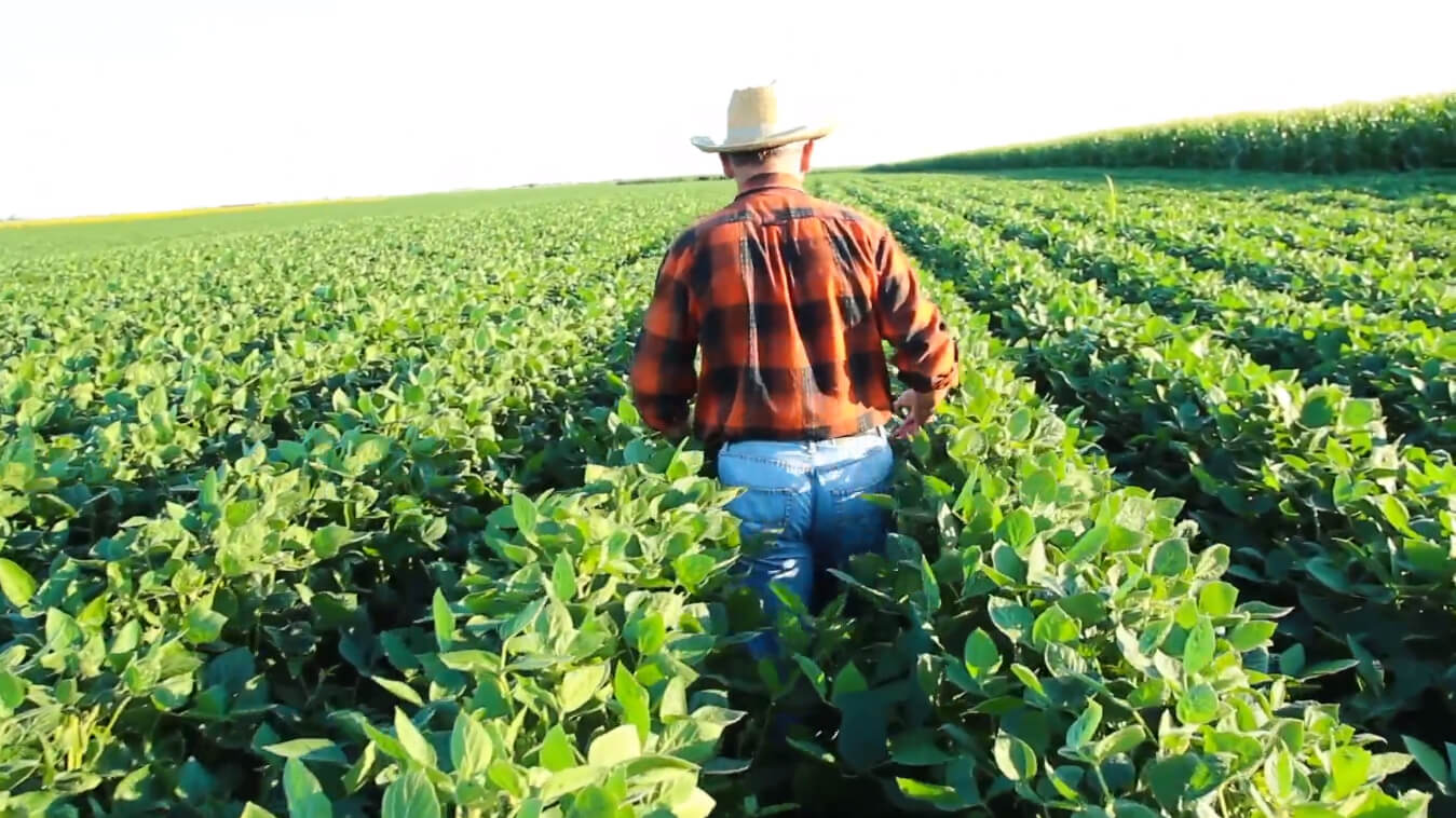 Man Farming Crops